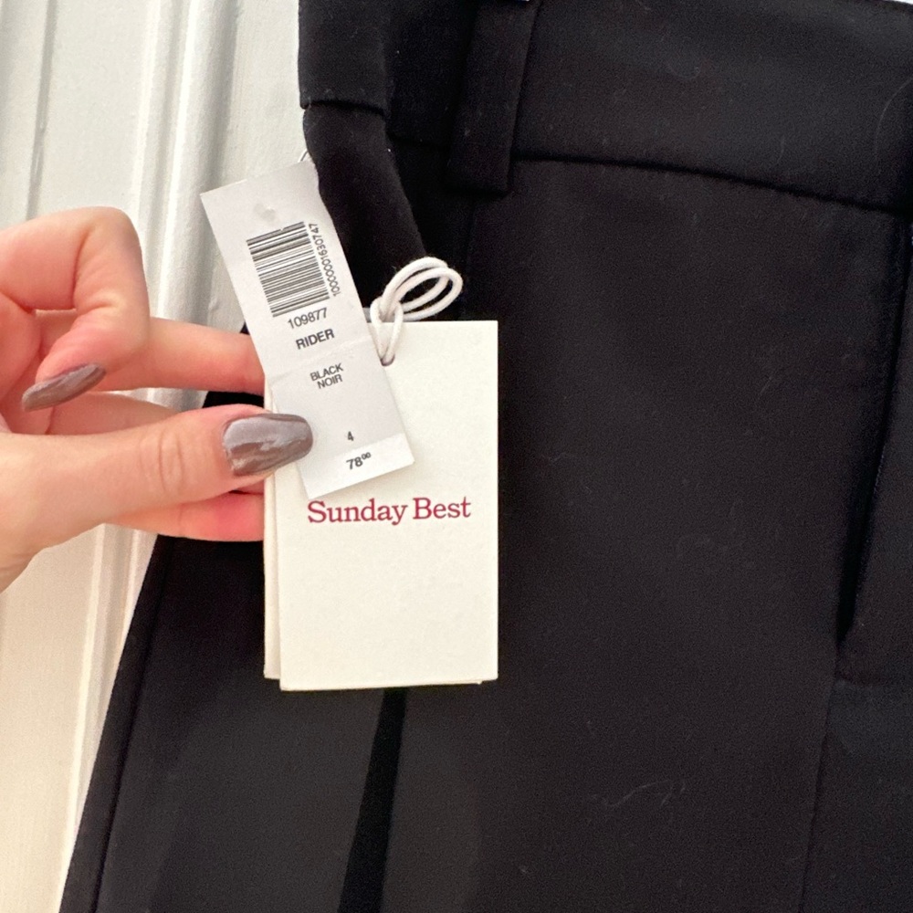 BNWT Aritzia Sunday Best Rider skirt
